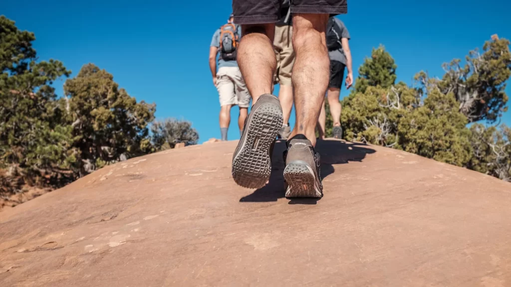 What muscles does hiking work? You may wish to conquer the trails! phil coffman 161238