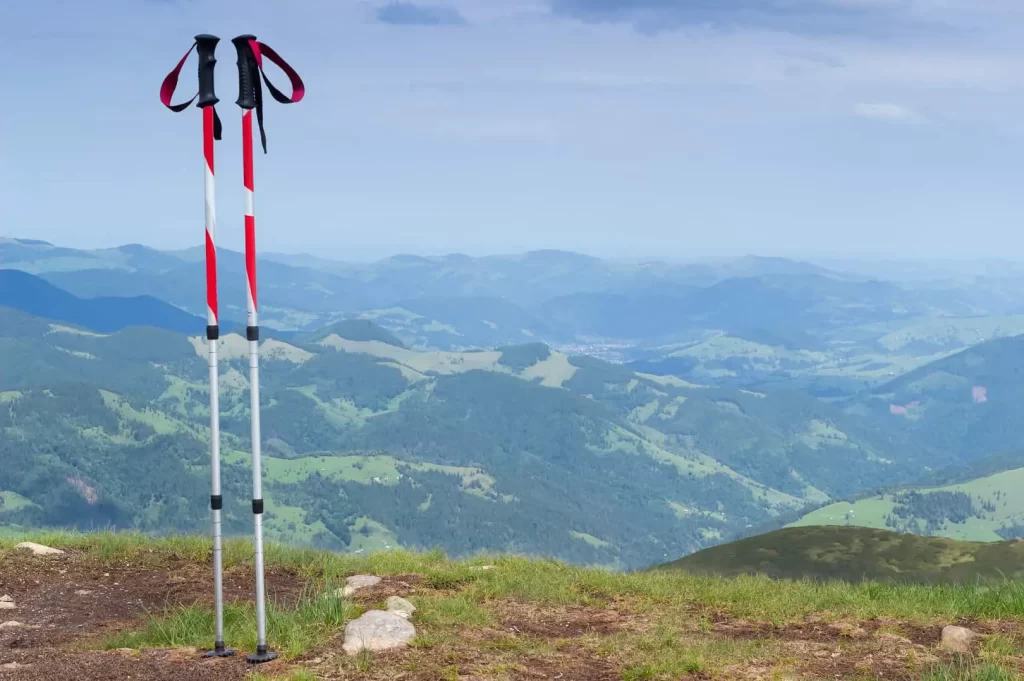 9904 trekking poles