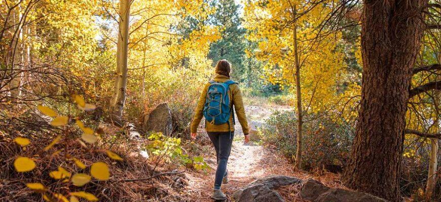 What To Wear Hiking In Fall: 12 Best Tips & Helpful Guide