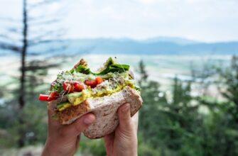 What is the best sandwiches for hiking: 10+ easy ideas 12 best sandwiches for hiking: packing tips & helpful guide