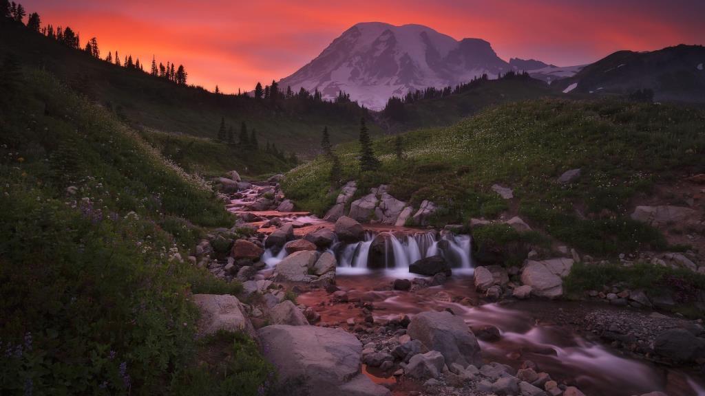 Mount Rainier National Park