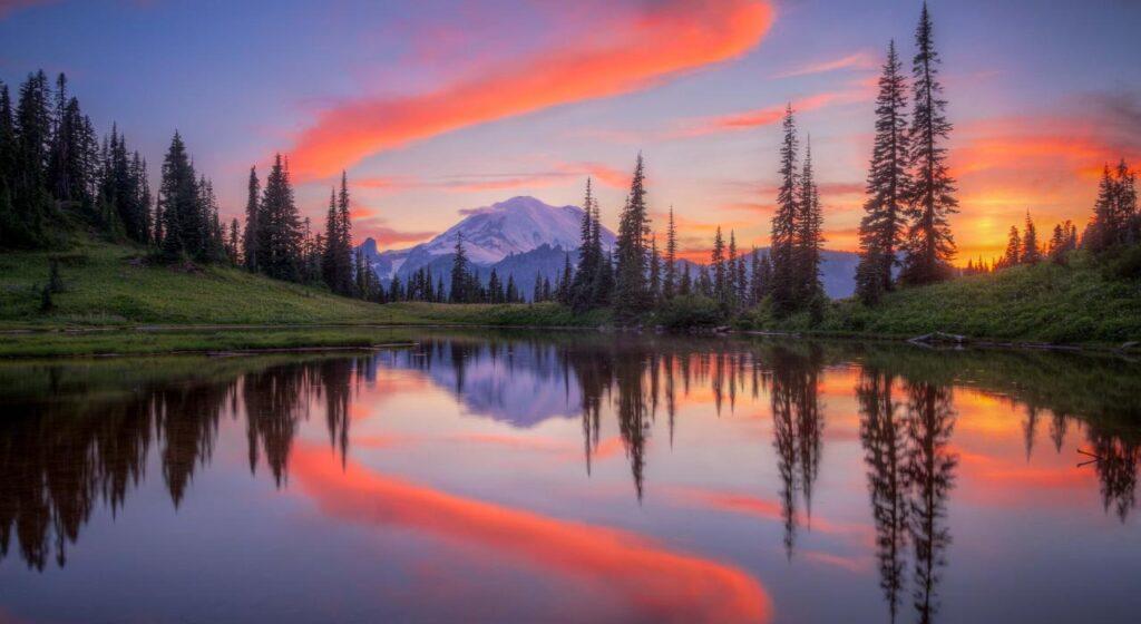 Mt Rainier