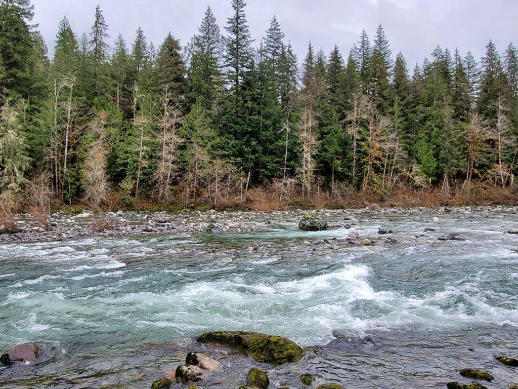 Old Sauk River trail