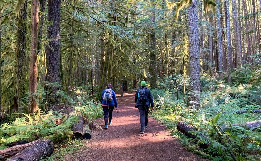 Exploring Trails: What Does Out and Back Trail Mean? back way
