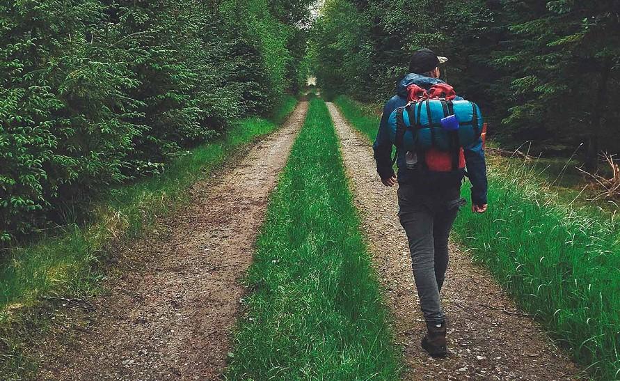 Exploring Trails: What Does Out and Back Trail Mean? focused