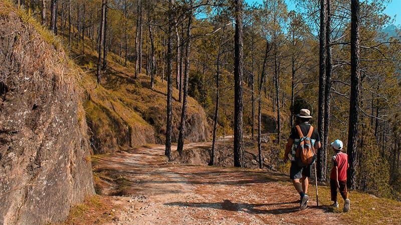 Exploring Trails: What Does Out and Back Trail Mean? hiking trail