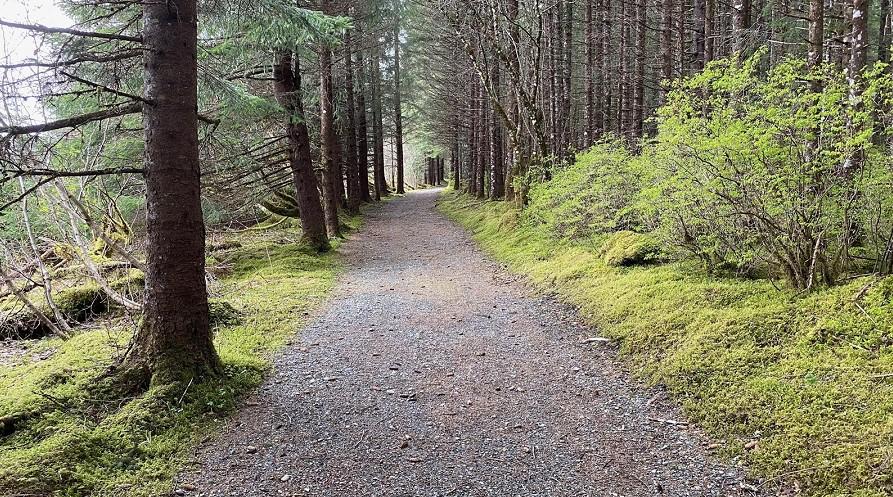 Exploring Trails: What Does Out and Back Trail Mean? road tips