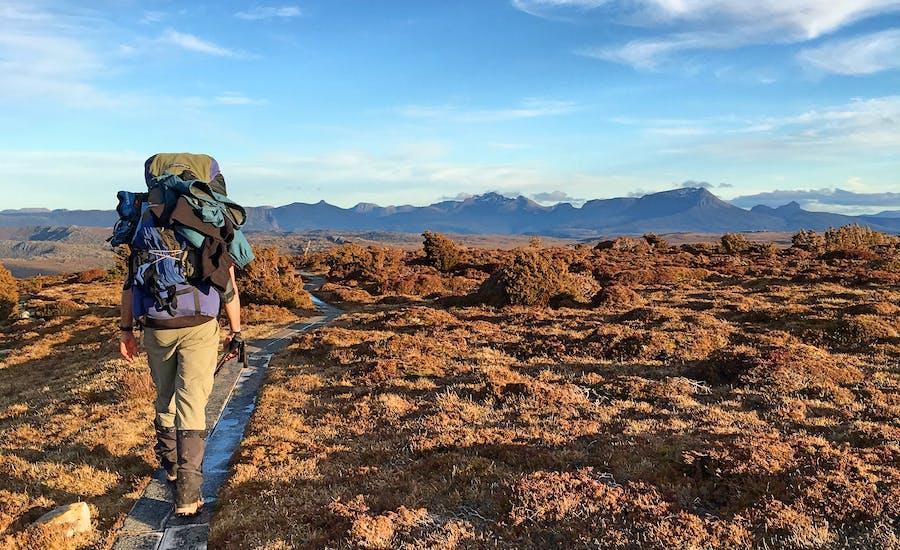 pexels mark gleeson 1173208