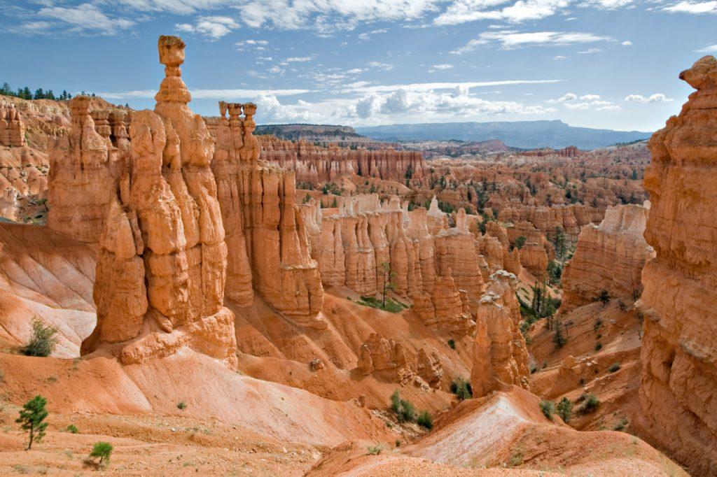 Bryce Canyon vs Grand Canyon