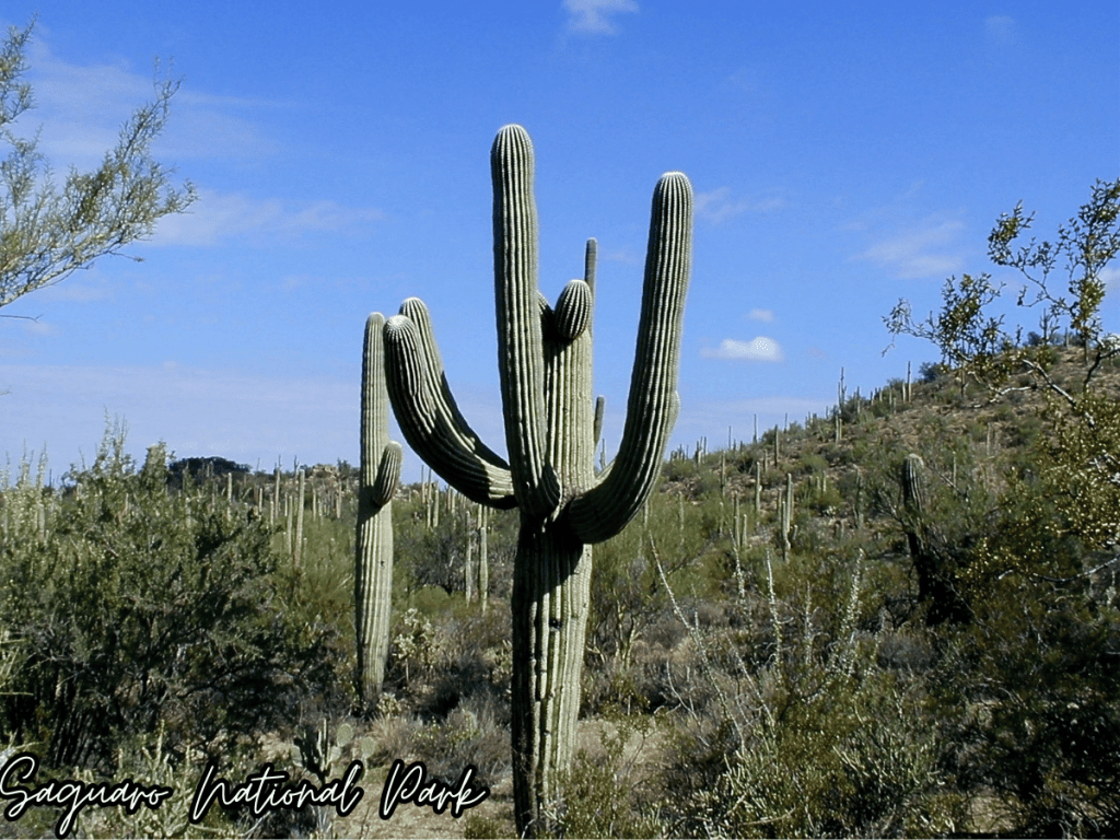 best national parks to visit in march