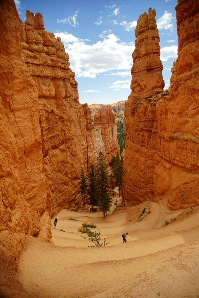 Unique geological hoodoos and red rock spires in Bryce Canyon National Park